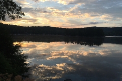 Photo taken by Rosemary Rafter