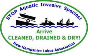 nh-lake-association